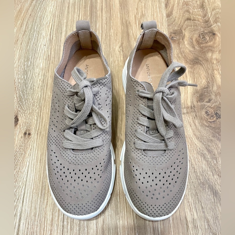 Antonio Milani Carrie Perforated Sneakers Color Koala Size 5.5 NWOT